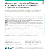 s12905-024-03517-x.pdf